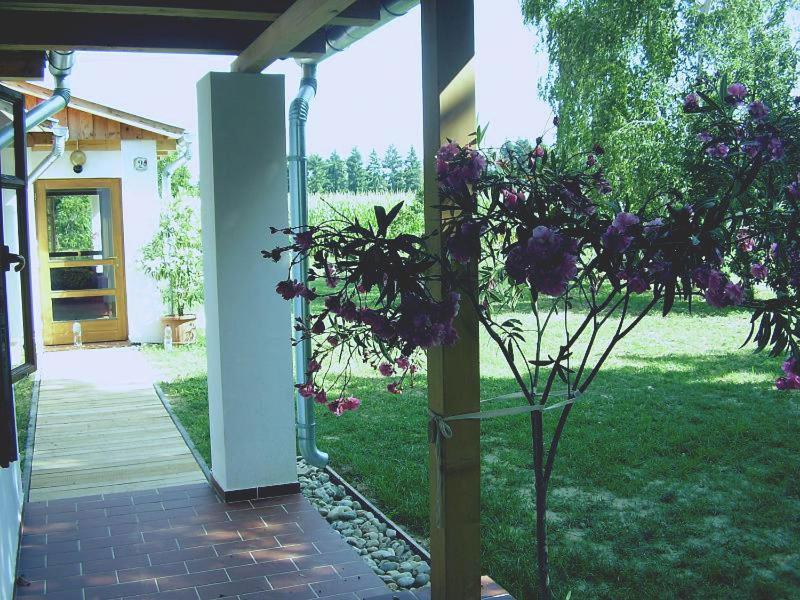 Vila Martonvendeghaz 1 Gelse Exteriér fotografie